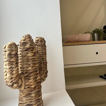 Centre-ville Lejlighed